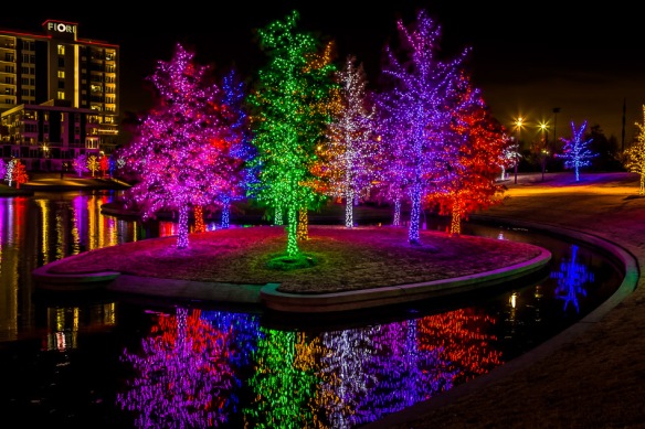 vitruvian-park-tree-lights